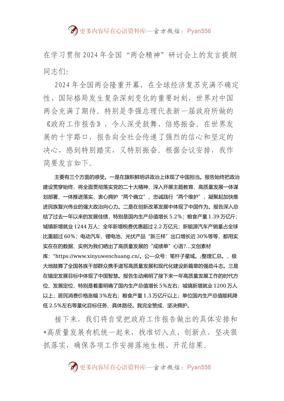 在学习贯彻2024年全国“两会精神”研讨会上的发言提纲.docx_第1页