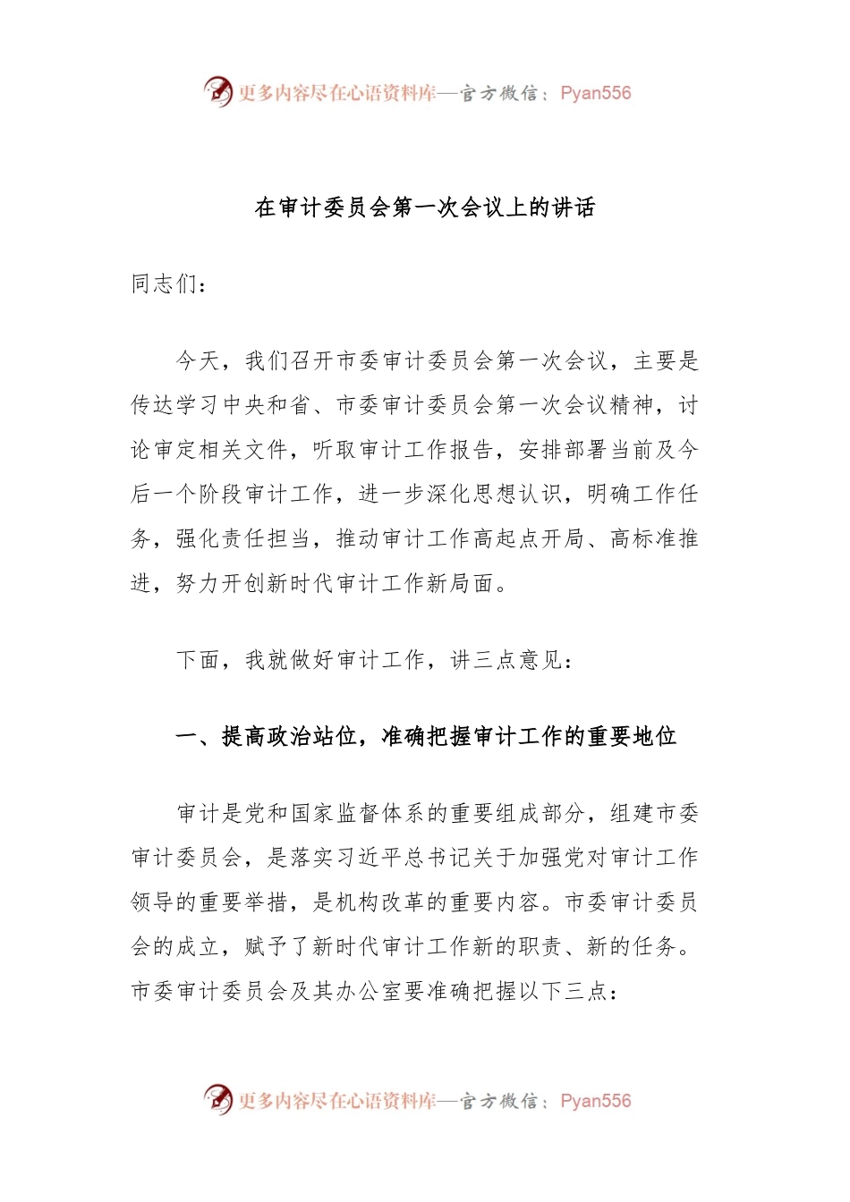 在审计委员会第一次会议上的讲话.docx_第1页