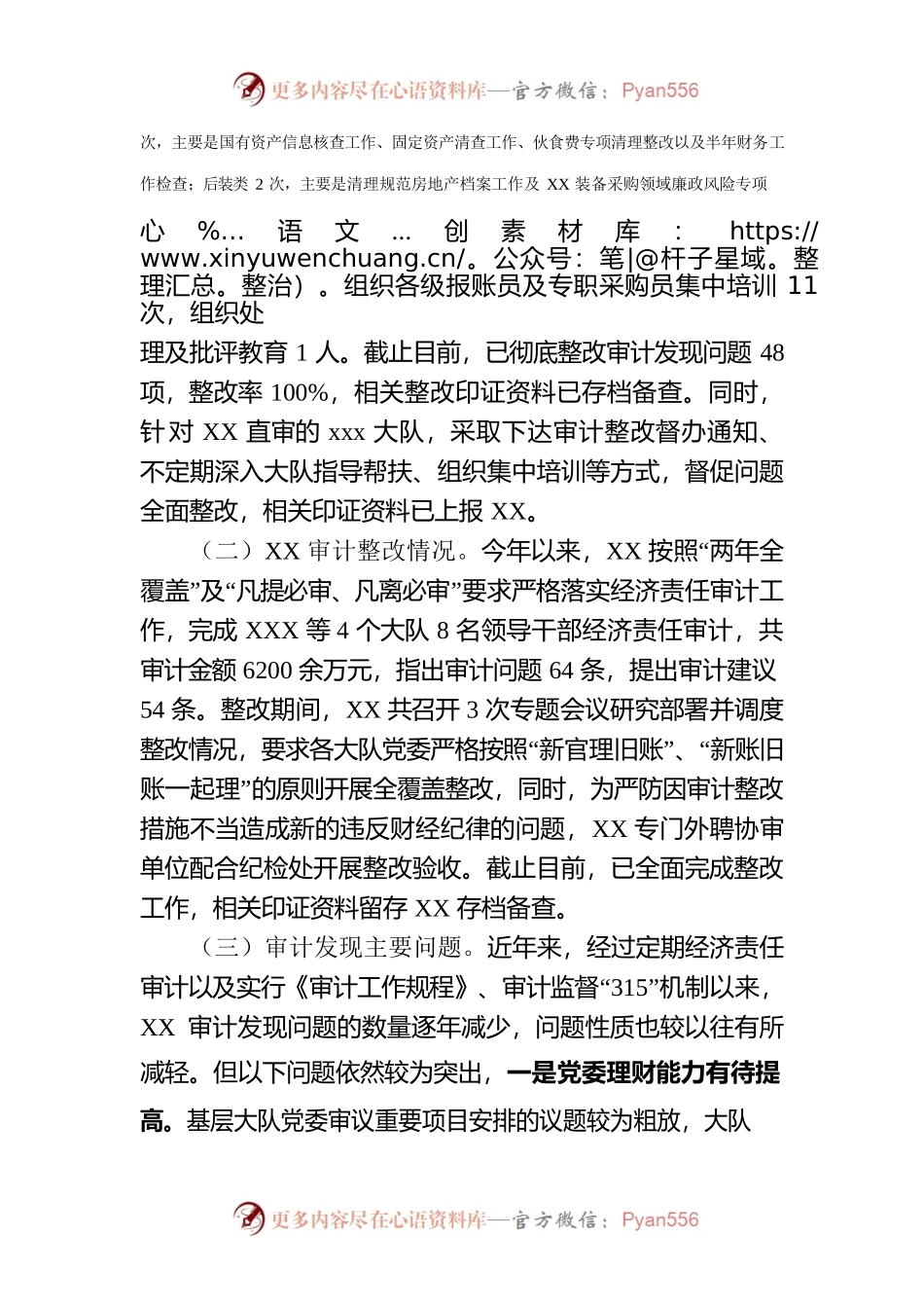 在全省审计监督自查自检工作第一次调度推进会议上的发言.docx_第2页