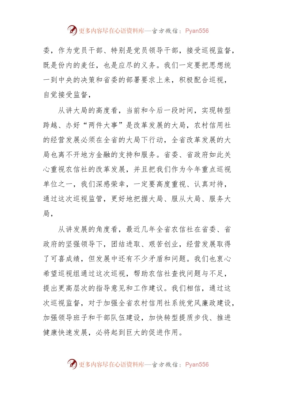 在巡视工作动员会议上表态讲话.docx_第2页