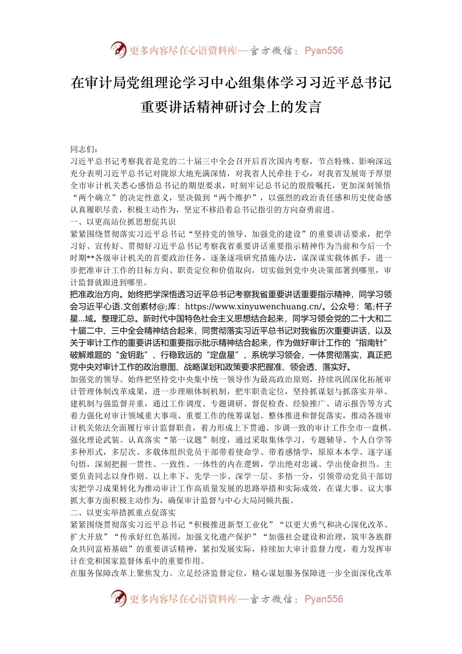 在审计局党组理论学习中心组集体学习习近平总书记重要讲话精神研讨会上的发言.docx_第1页