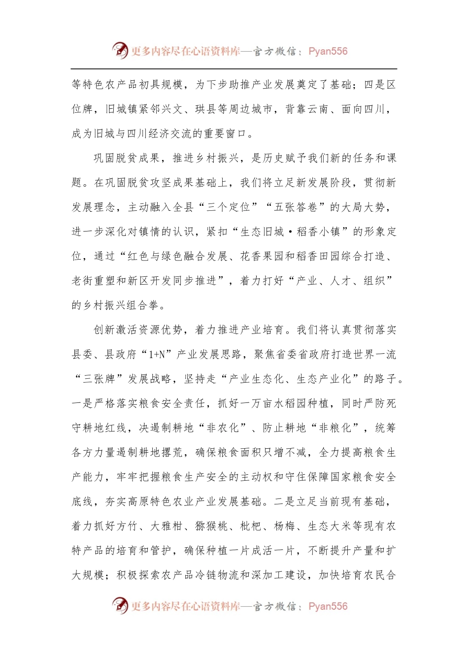 在乡村振兴大会上的表态发言.docx_第2页
