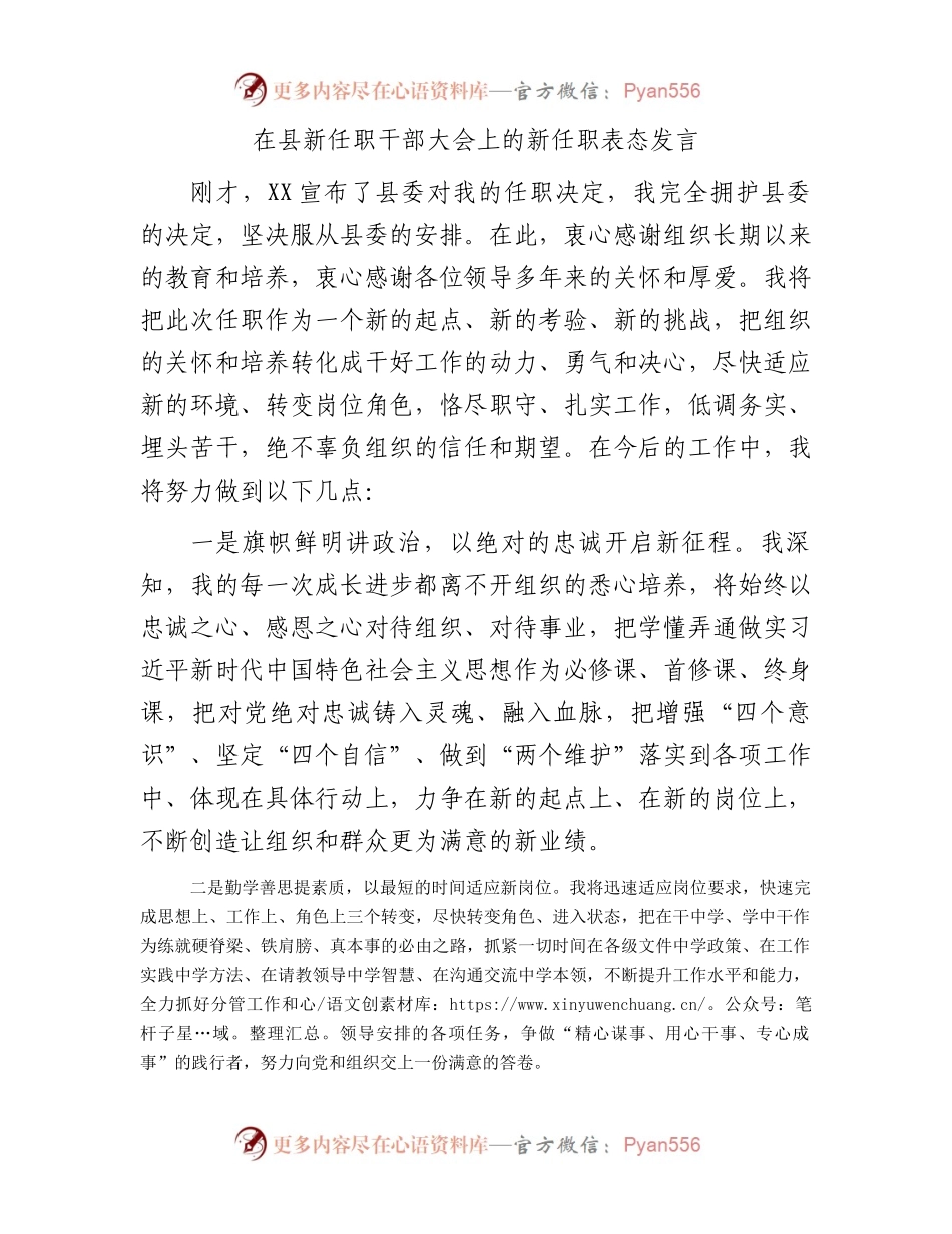 在县新任职干部大会上的新任职表态发言.docx_第1页