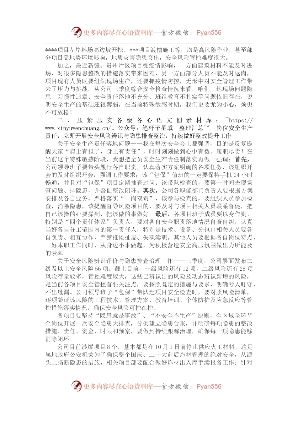 在国企公司保安全稳定工作会上的讲话.docx_第2页