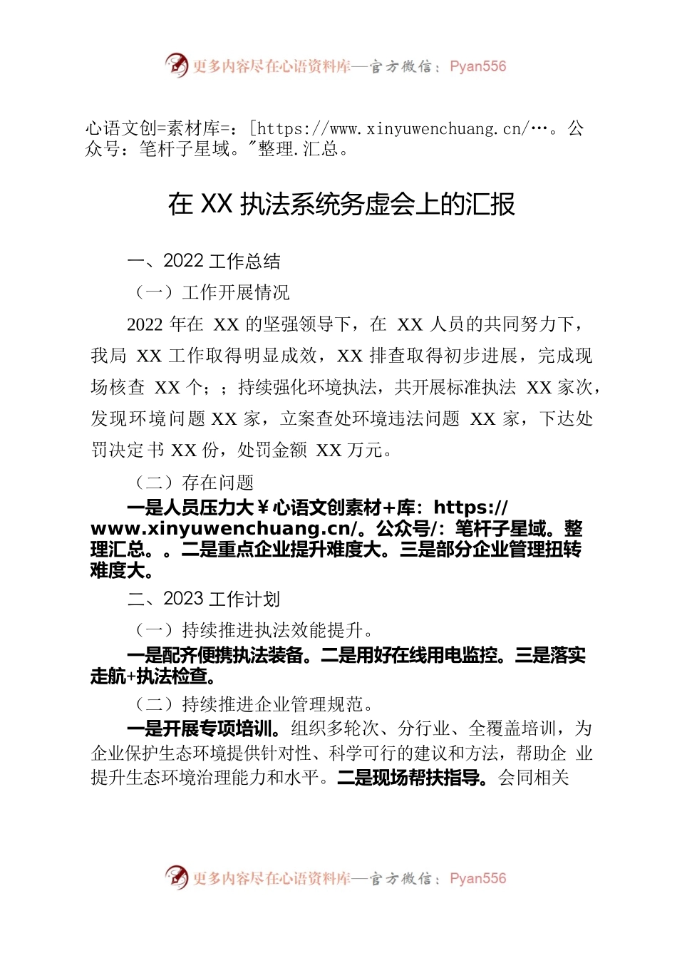 在XX执法系统务虚会上的汇报.docx_第1页