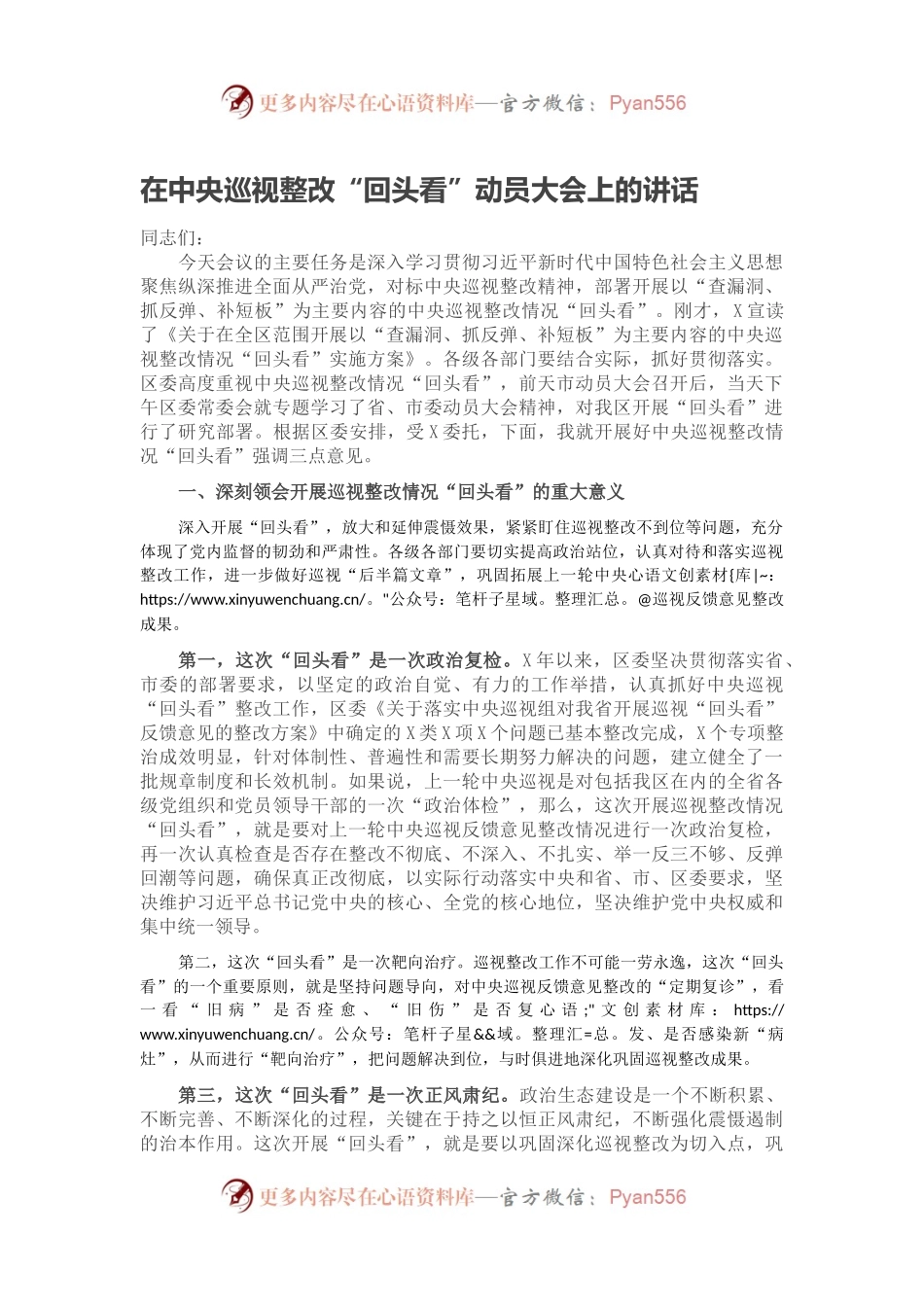 在中央巡视整改“回头看”动员大会上的讲话.docx_第1页
