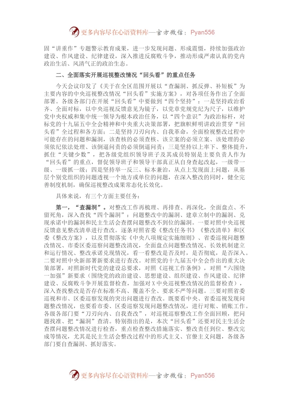 在中央巡视整改“回头看”动员大会上的讲话.docx_第2页