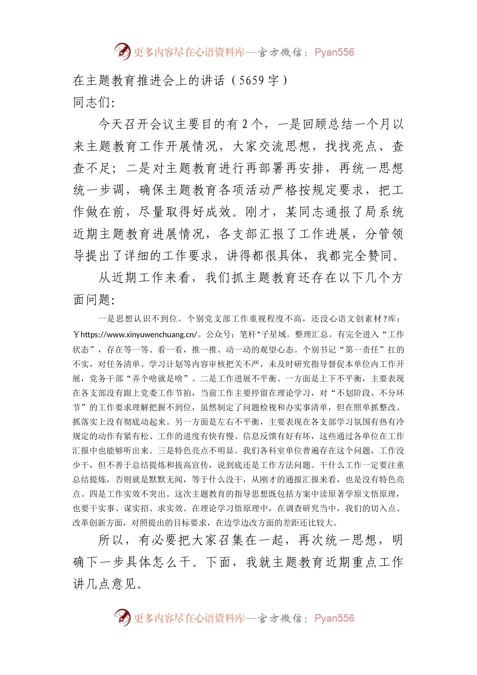 在主题教育推进会上的讲话.docx_第1页