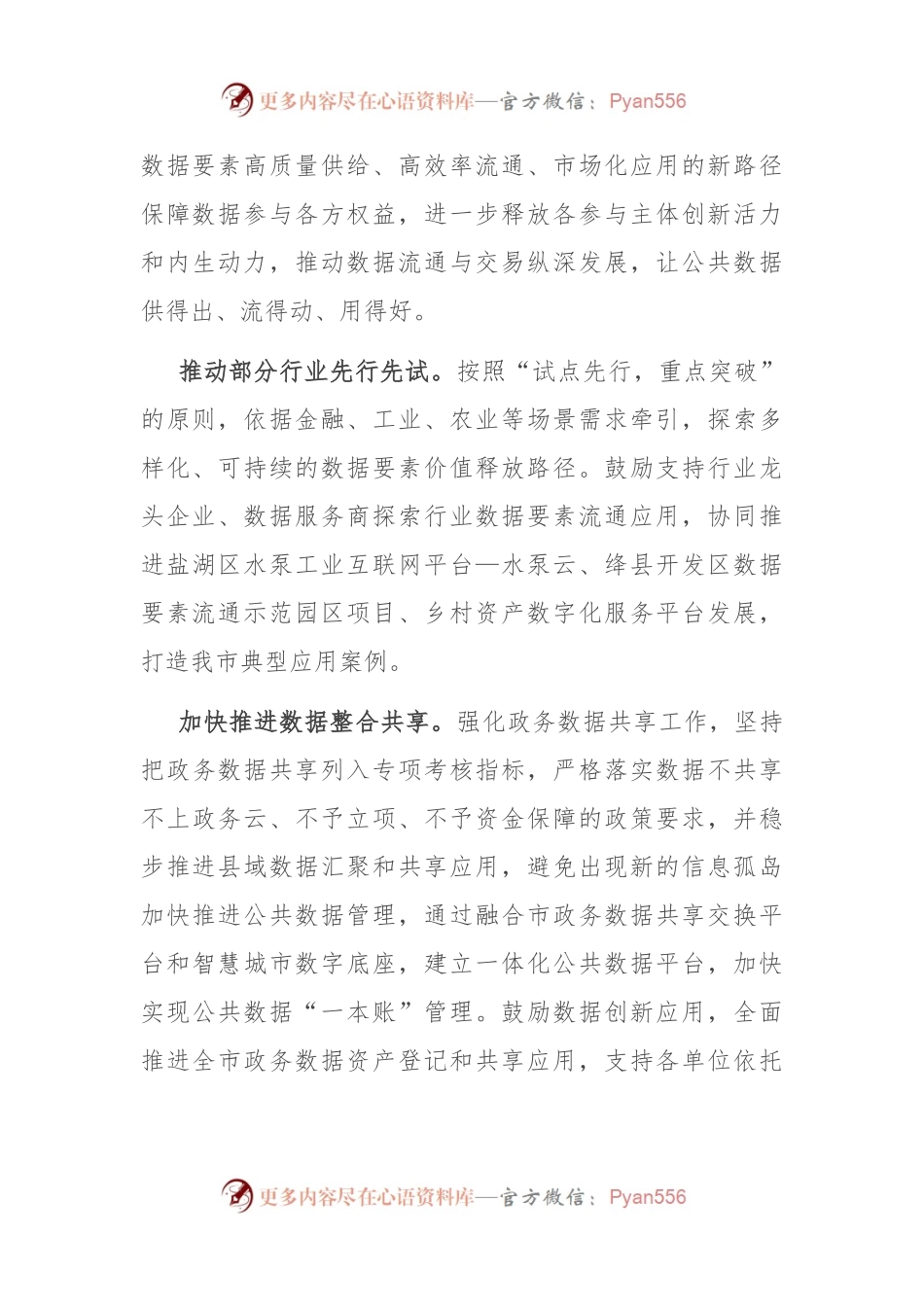 在市长调研数据局工作座谈会上的汇报发言.docx_第2页