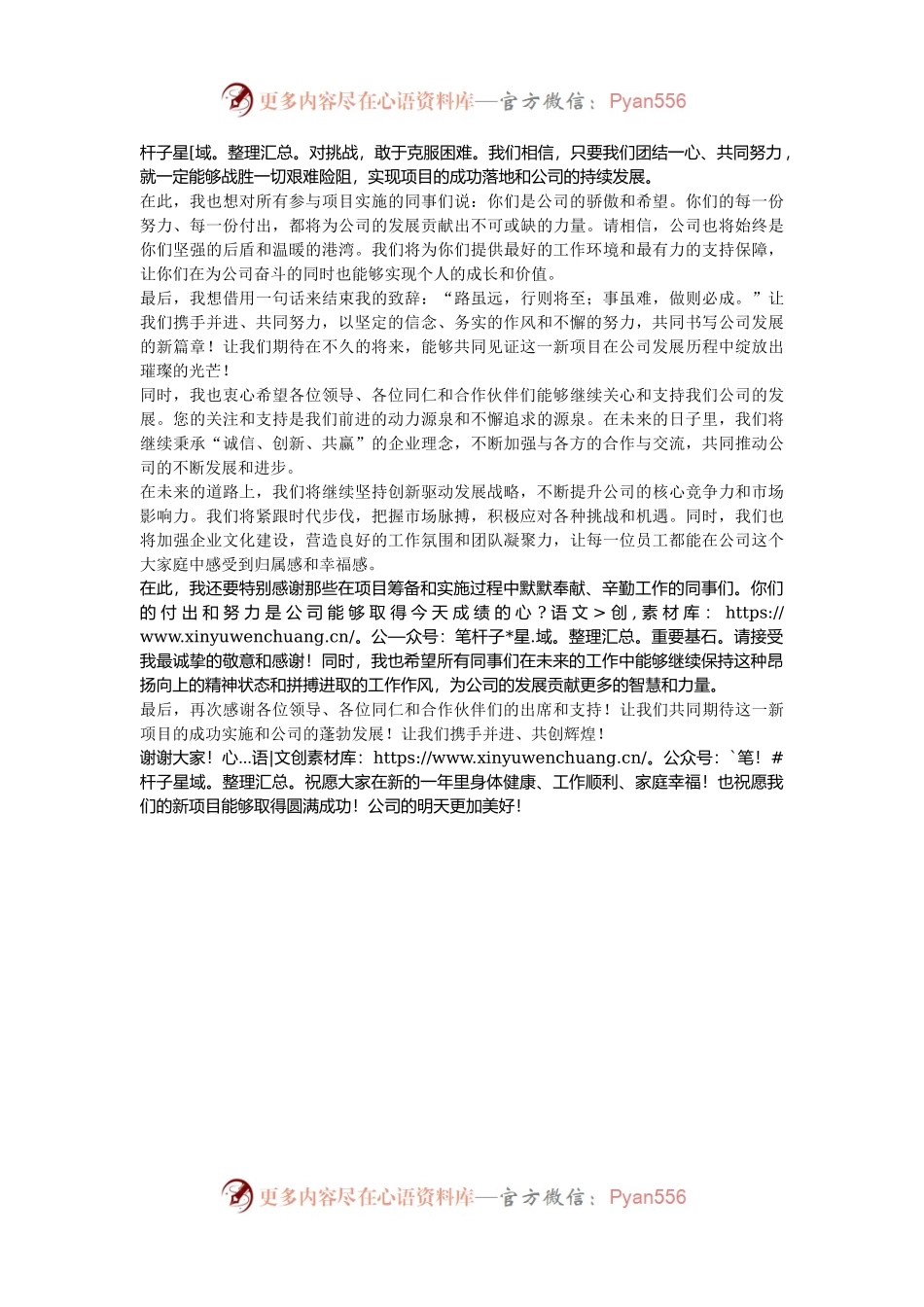 在公司项目启动仪式上的致辞.docx_第2页