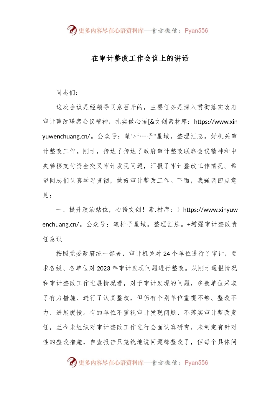 在审计整改工作会议上的讲话.docx_第1页