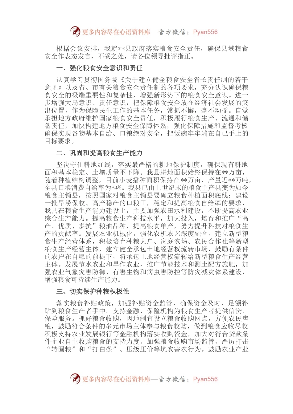 在全市粮食安全工作会议上的发言.docx_第1页