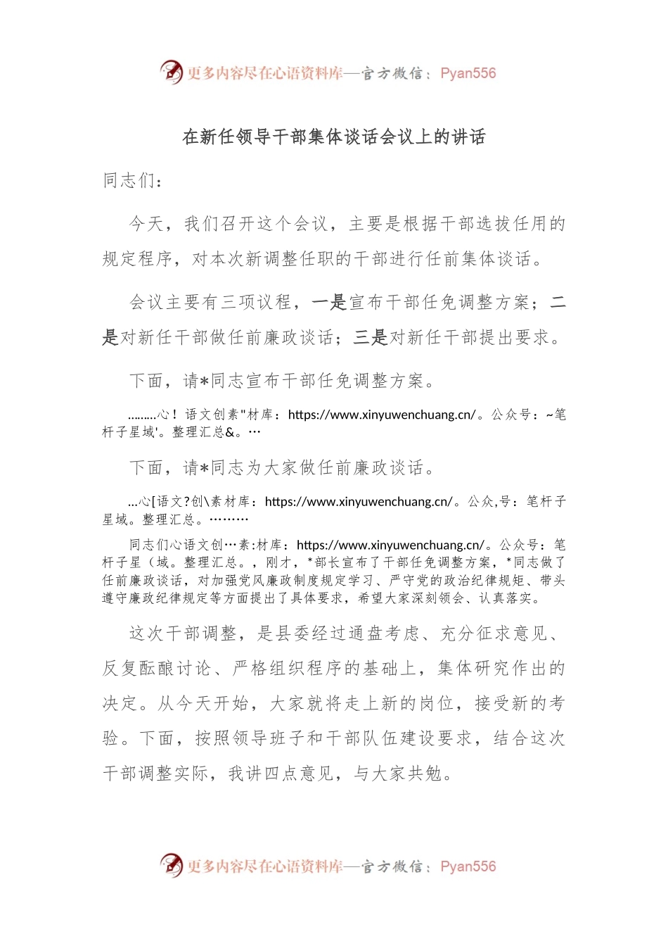 在新任领导干部集体谈话会议上的讲话稿.docx_第1页