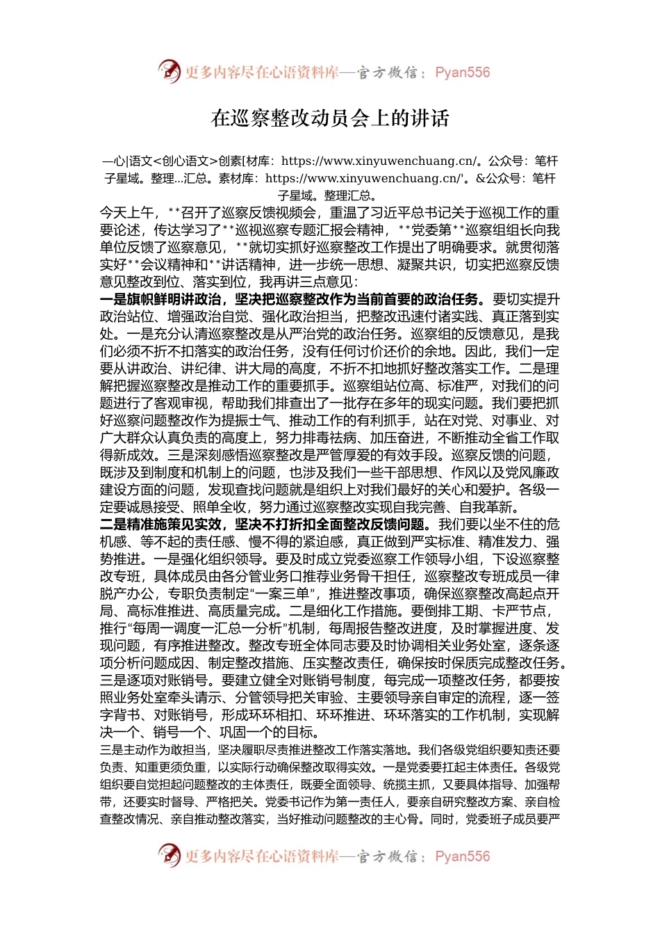 在巡察整改动员会上的讲话.docx_第1页