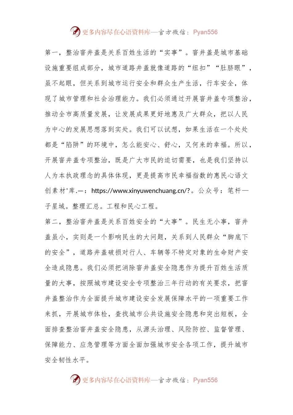 在全市公共区域窨井盖专项整治工作动员会议上的讲话.docx_第2页