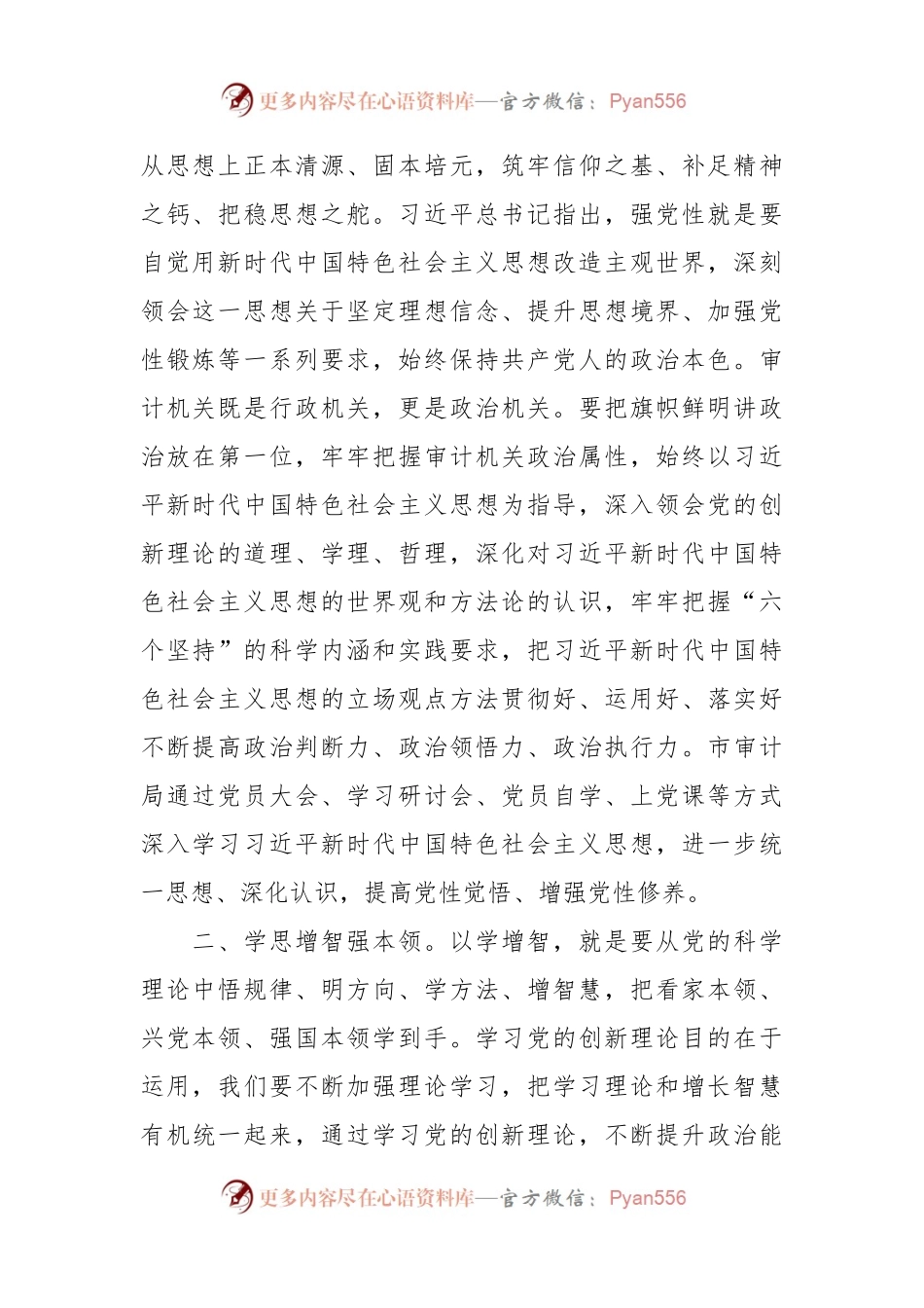 在全省审计系统主题教育推进情况调研座谈会上的汇报发言.docx_第2页