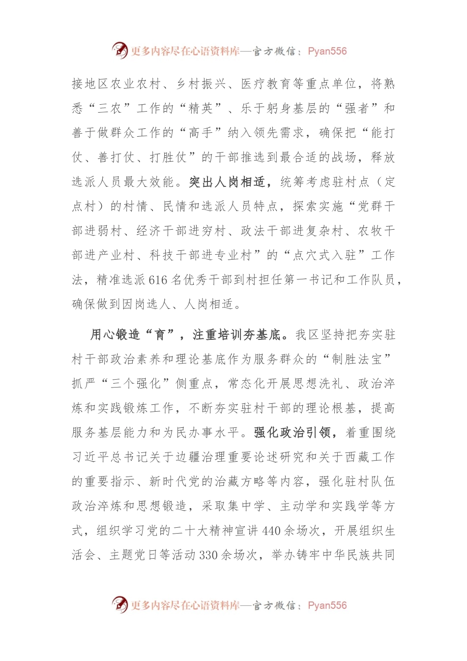 在全市驻村第一书记（队长）工作会议上的汇报发言.docx_第2页