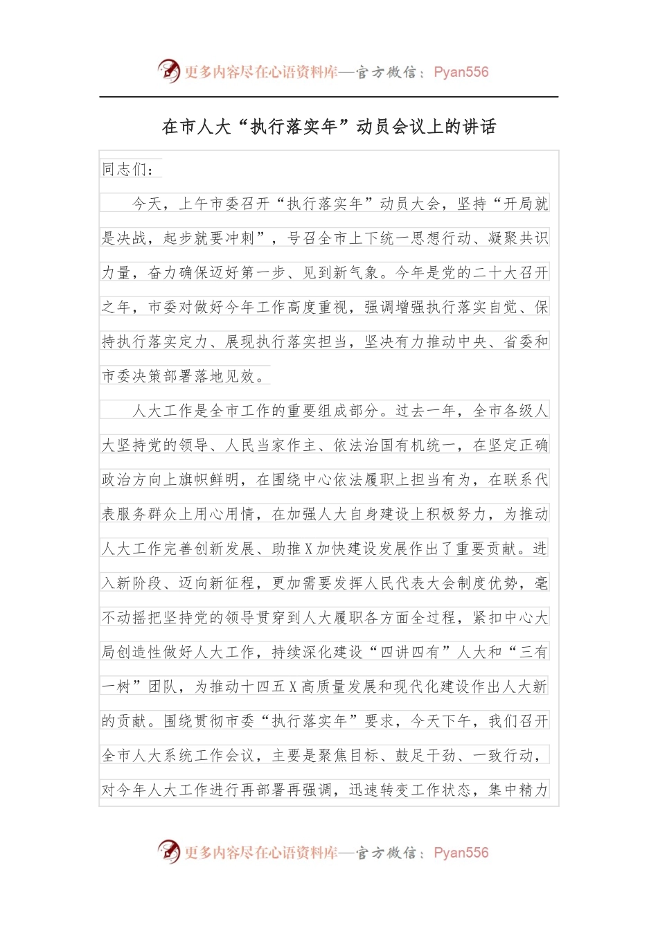 在市人大“执行落实年”动员会议上的讲话.docx_第1页