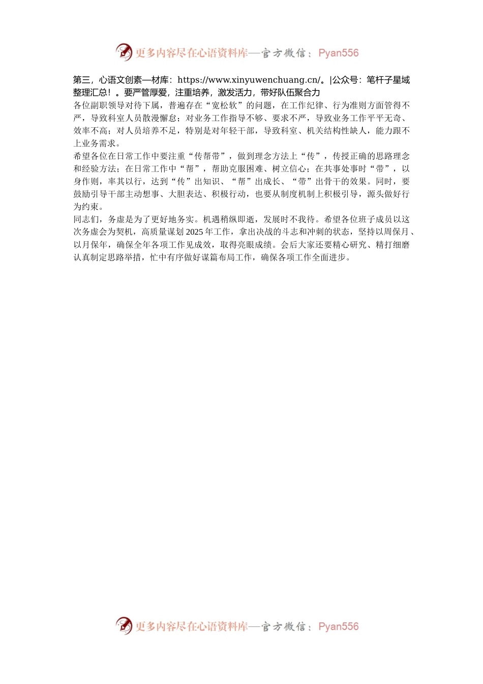 在2025年领导班子务虚会上的讲话提纲.docx_第2页