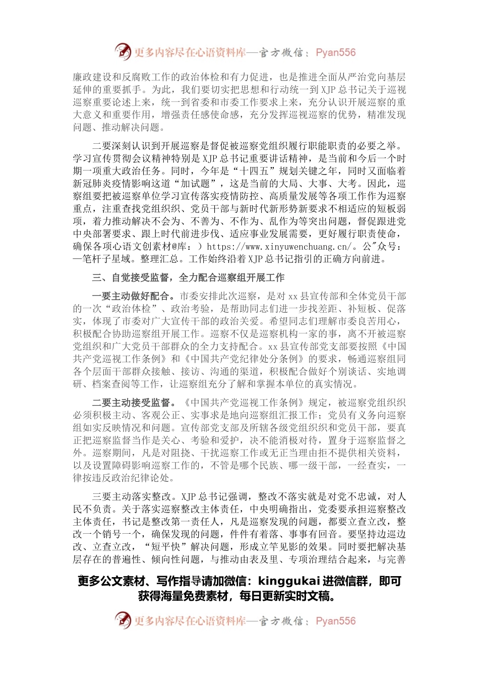 在巡察X县委宣传部党支部动员会上的讲话（巡办领导）.docx_第2页