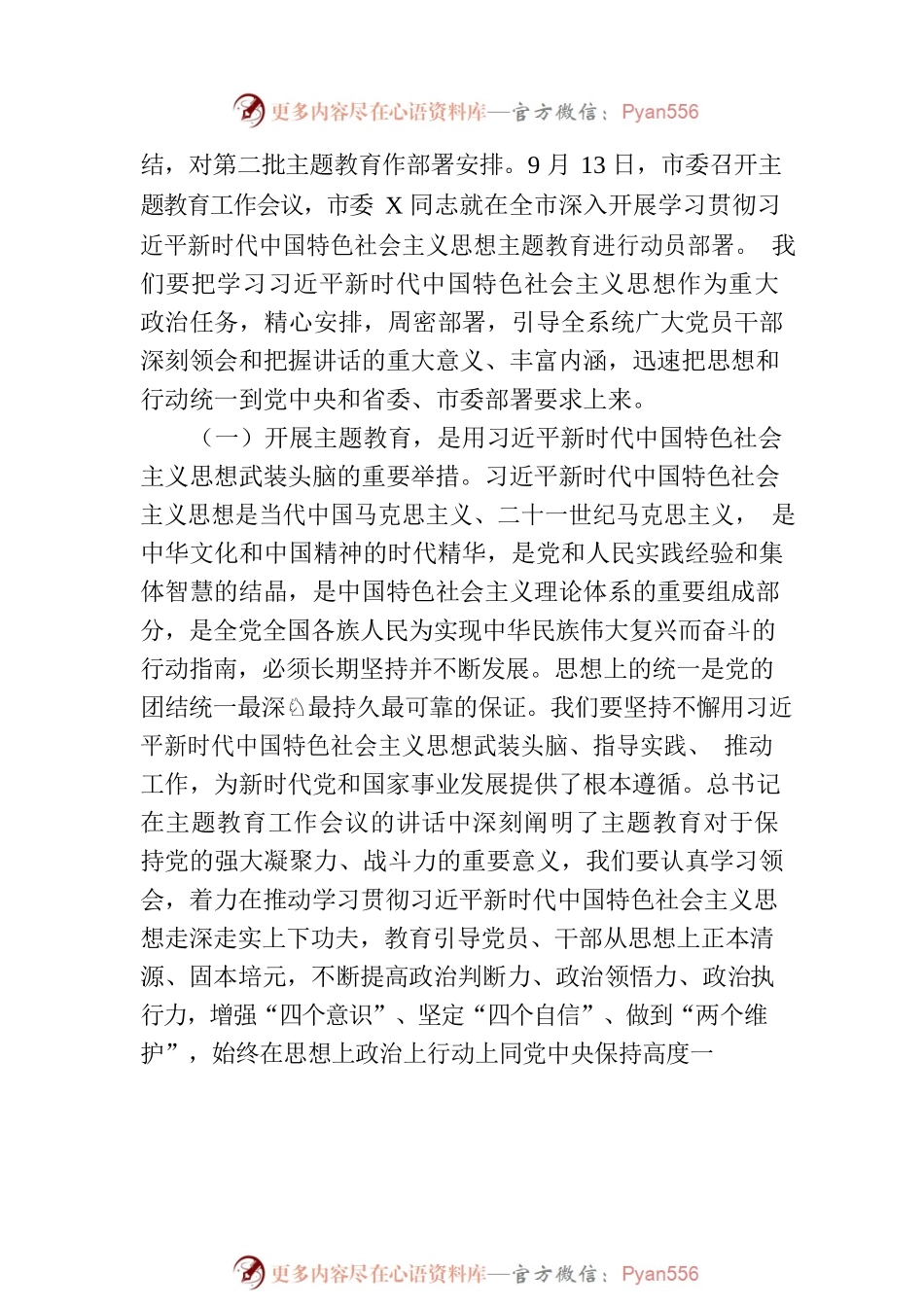 在主题教育工作会议上的讲话.docx_第2页