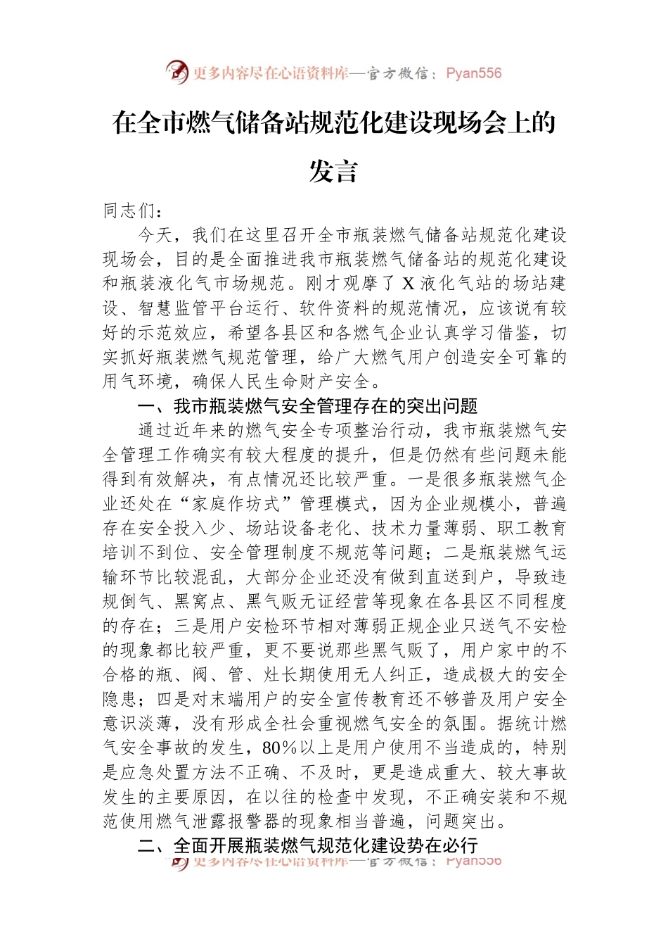 在全市燃气储备站规范化建设现场会上的发言.docx_第1页