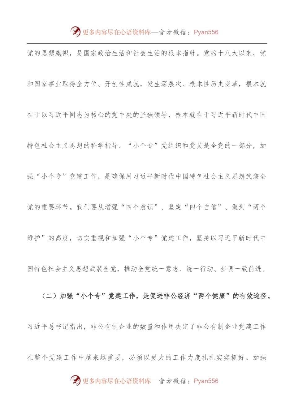 在“小个专”党建工作推进会议上的讲话.docx_第2页