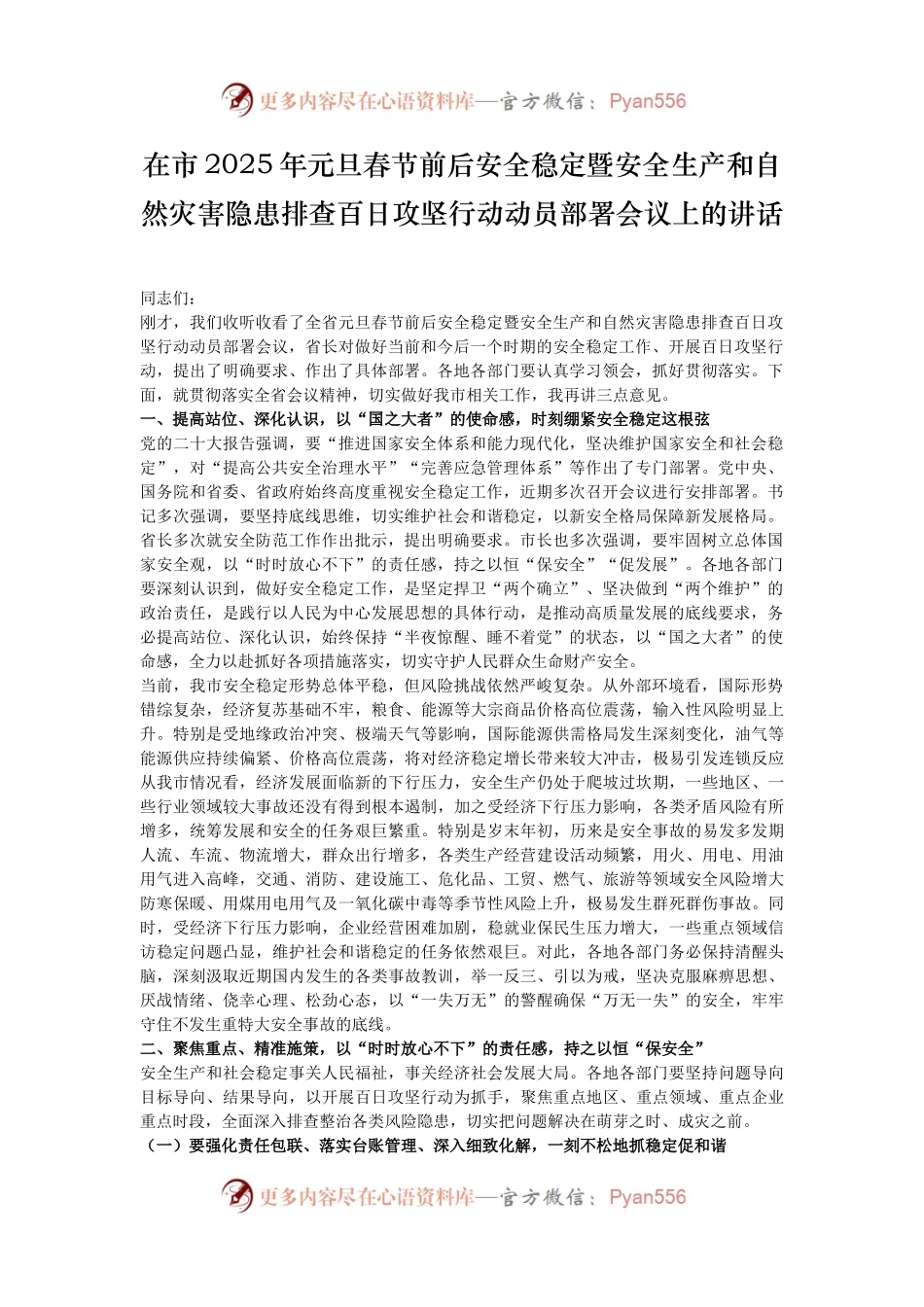 在市2025年元旦春节前后安全稳定暨安全生产和自然灾害隐患排查百日攻坚行动动员部署会议上的讲话.docx_第1页