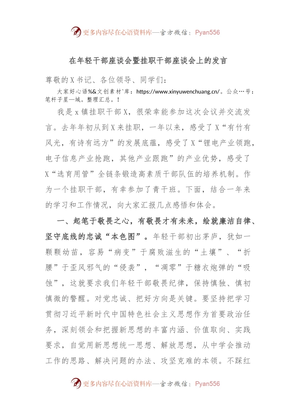 在年轻干部座谈会暨挂职干部座谈会上的发言.docx_第1页