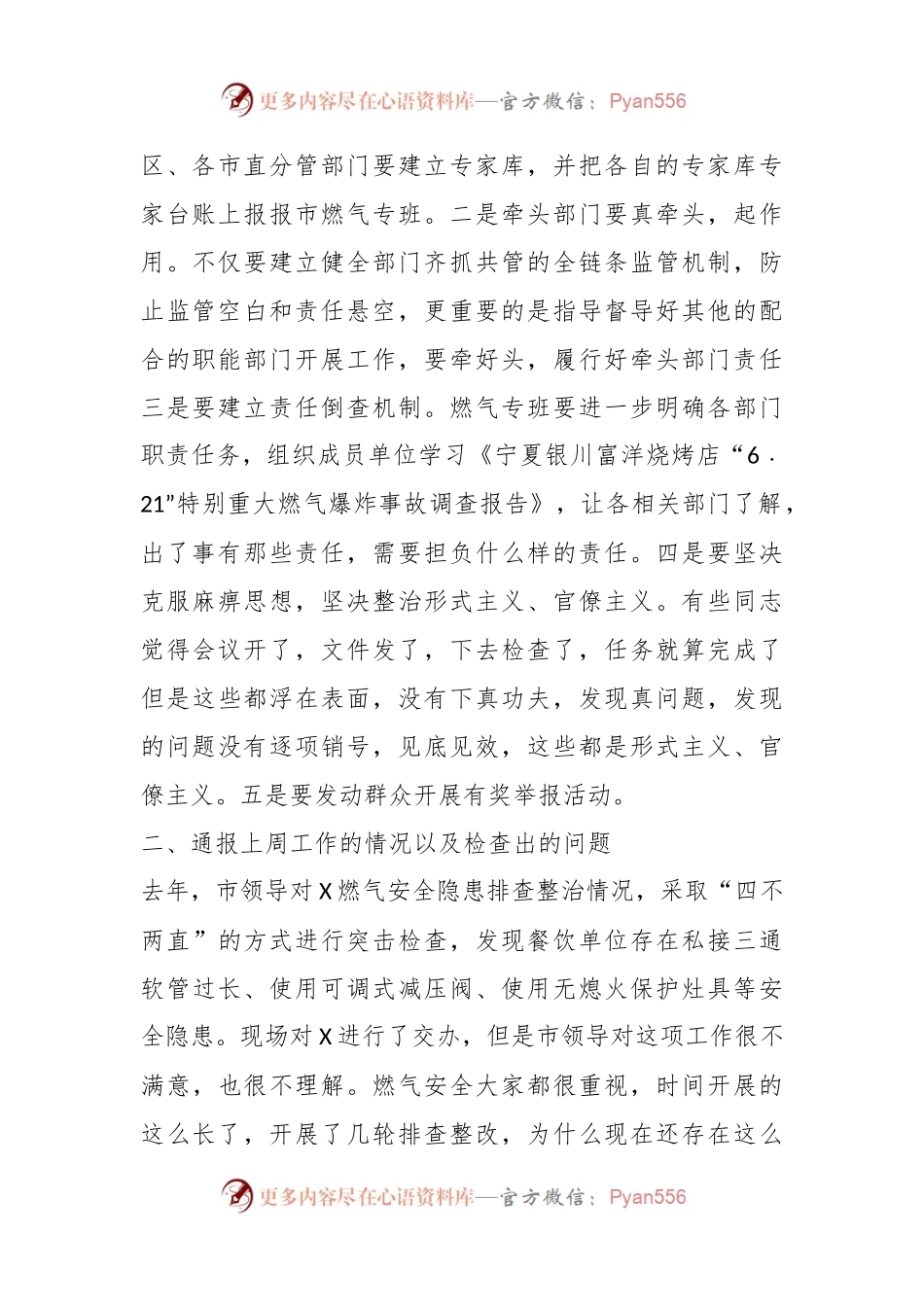 在全市城镇燃气安全排查整治会议上的讲话稿.docx_第2页
