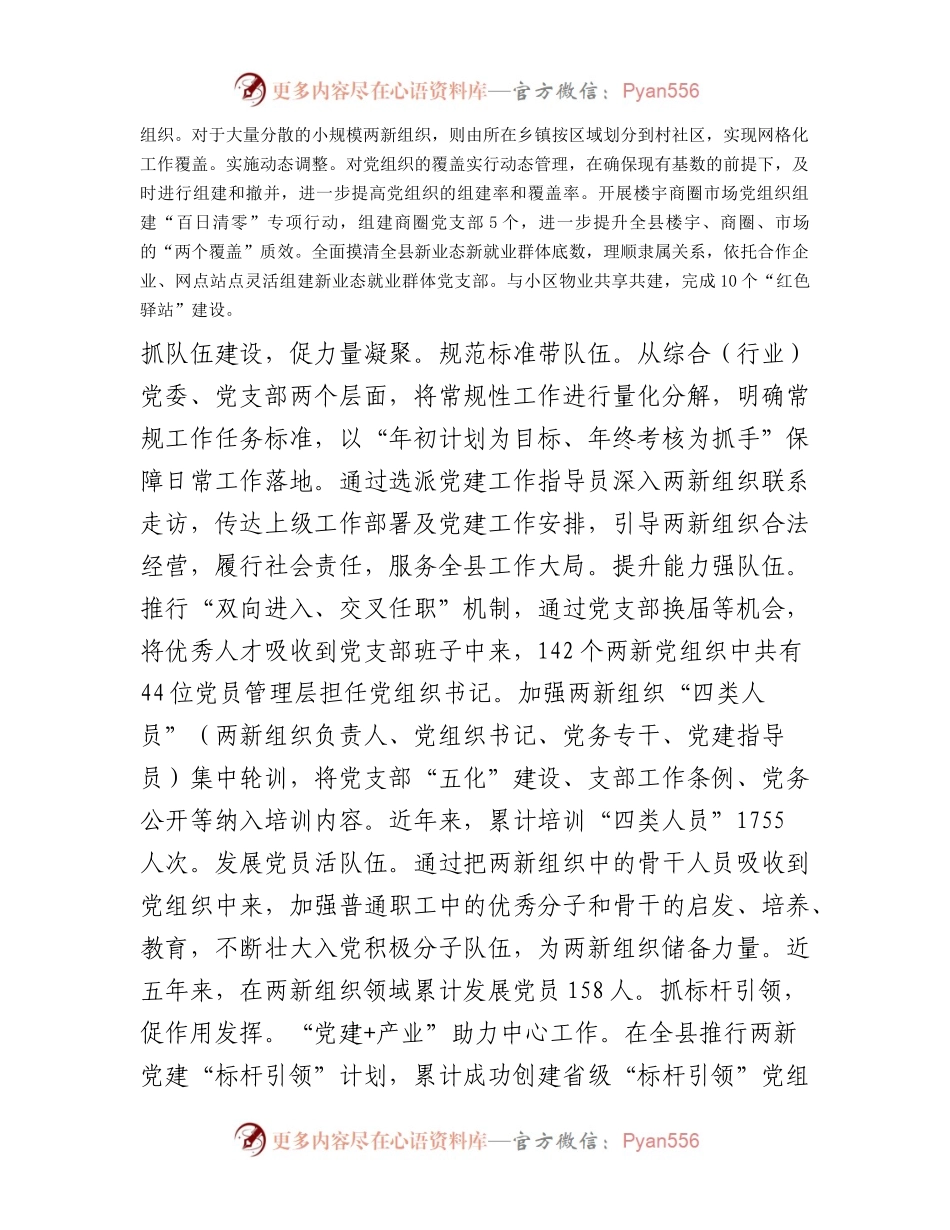 在全市两新组织党建工作调研座谈会上的汇报发言.docx_第2页