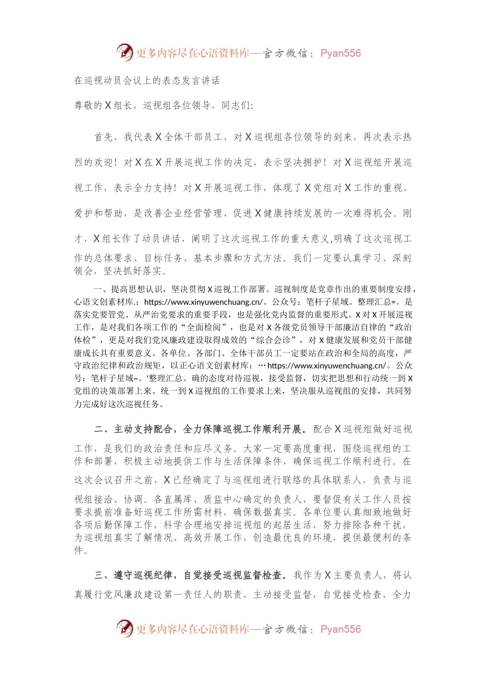 在巡视巡察审计动员会议上的表态发言讲话.docx_第1页
