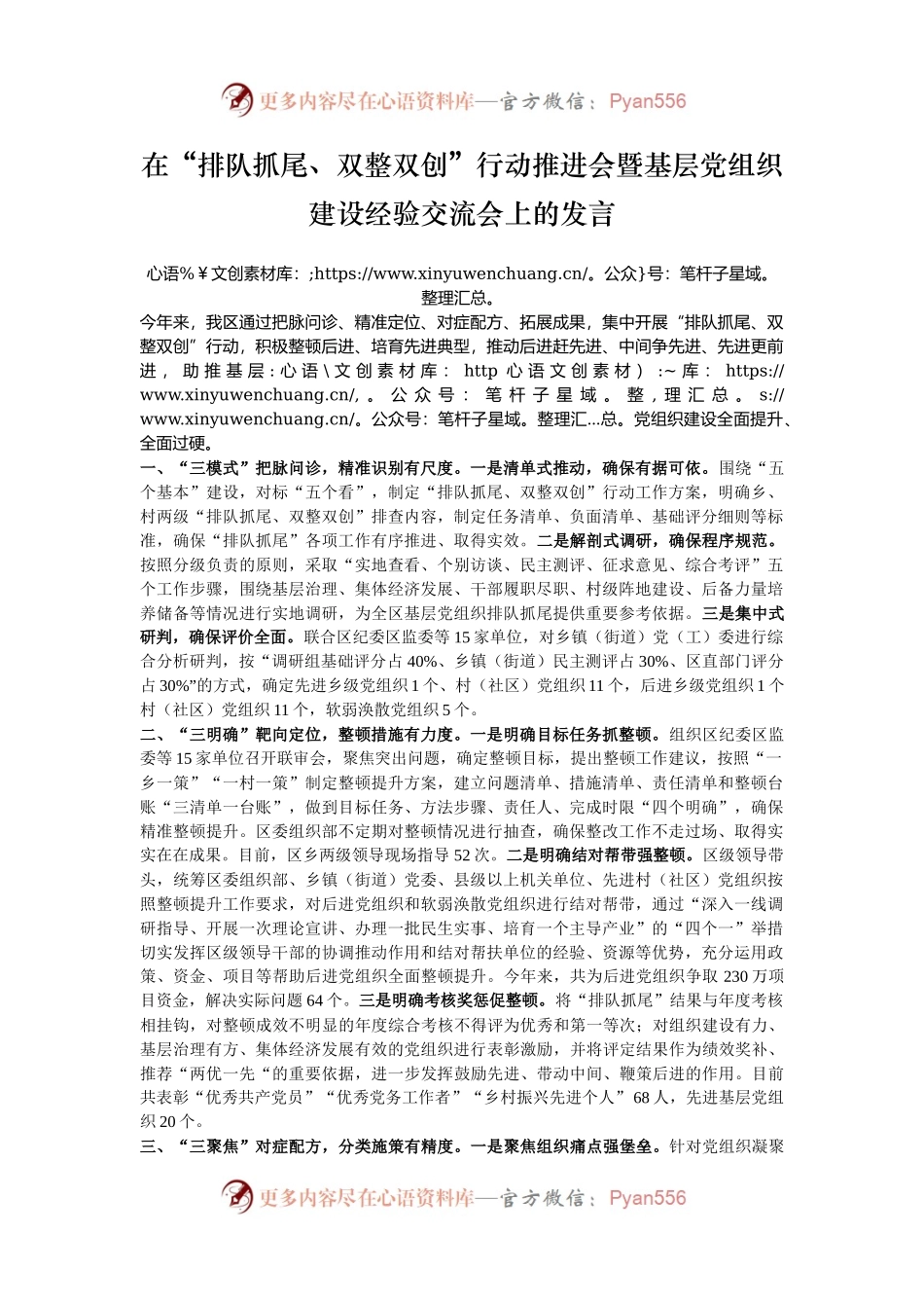 在“排队抓尾、双整双创”行动推进会暨基层党组织建设经验交流会上的发言.docx_第1页