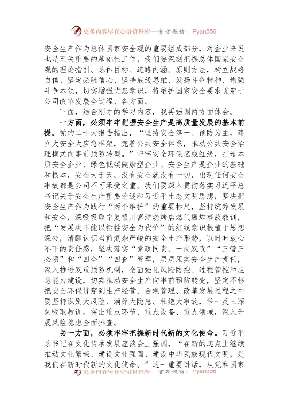 在公司党委理论学习中心组安全专题研讨交流会上的发言材料.docx_第2页