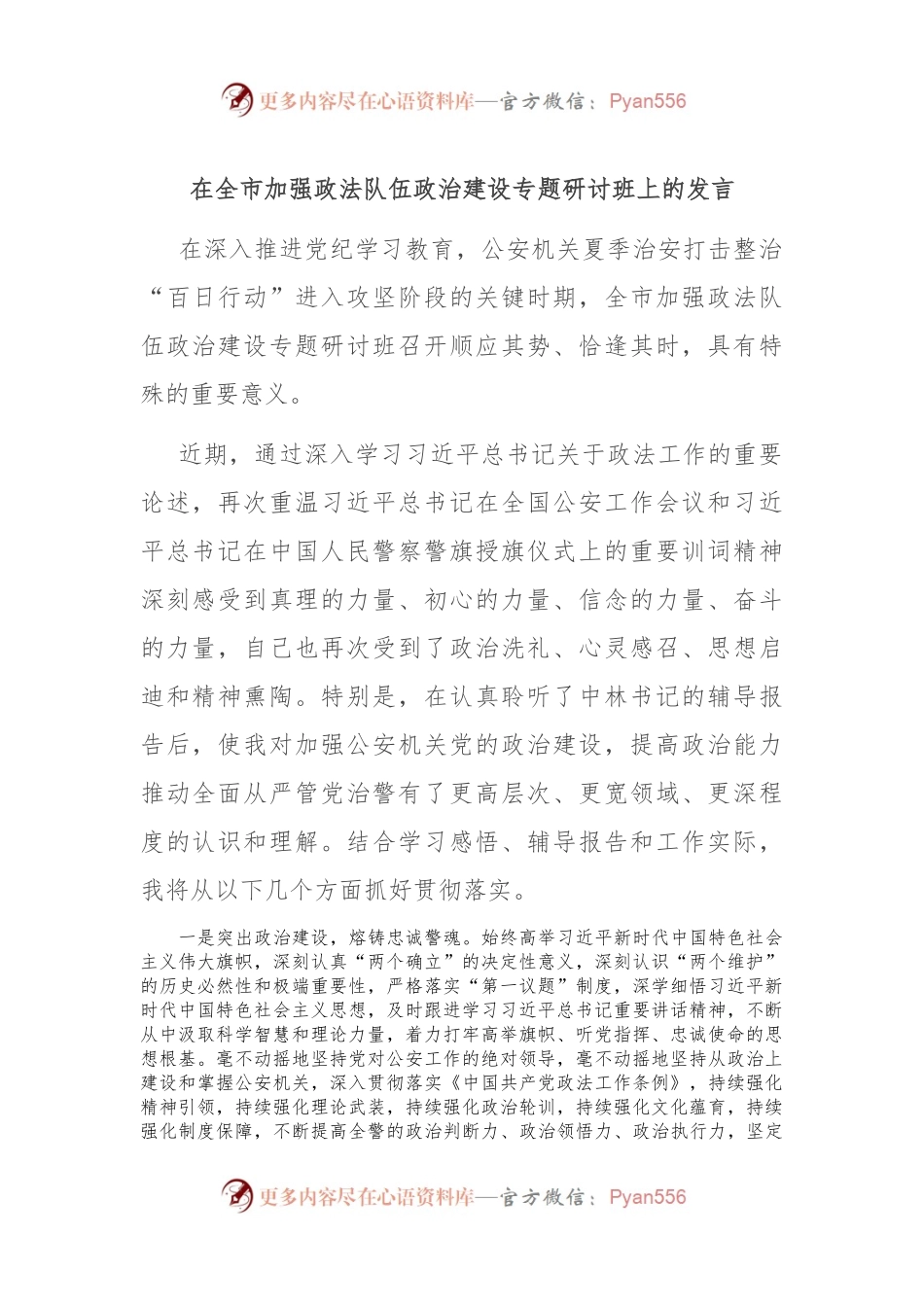 在全市加强政法队伍政治建设专题研讨班上的发言.docx_第1页