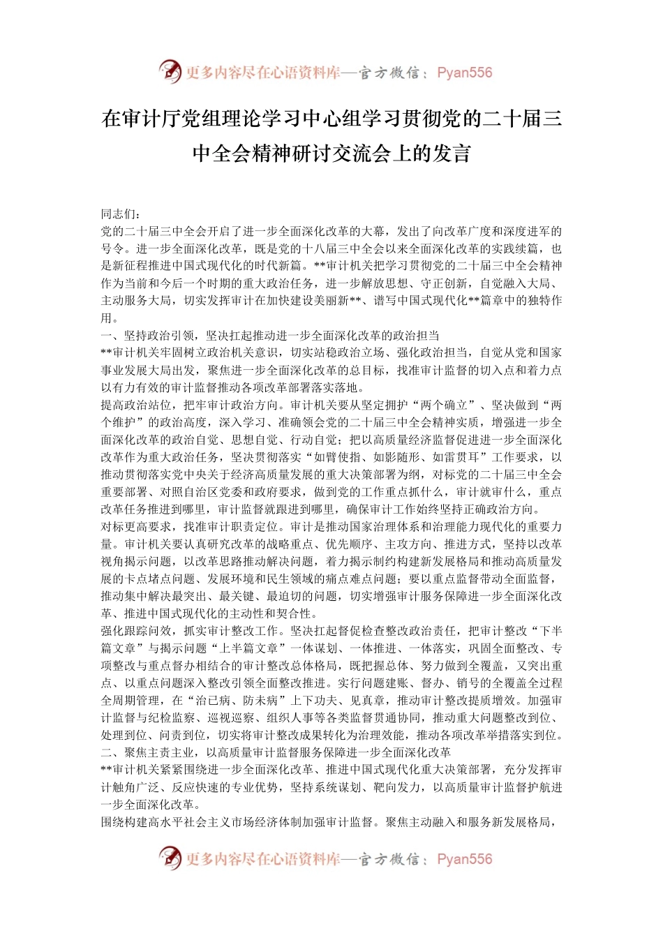 在审计厅党组理论学习中心组学习贯彻党的二十届三中全会精神研讨交流会上的发言.docx_第1页