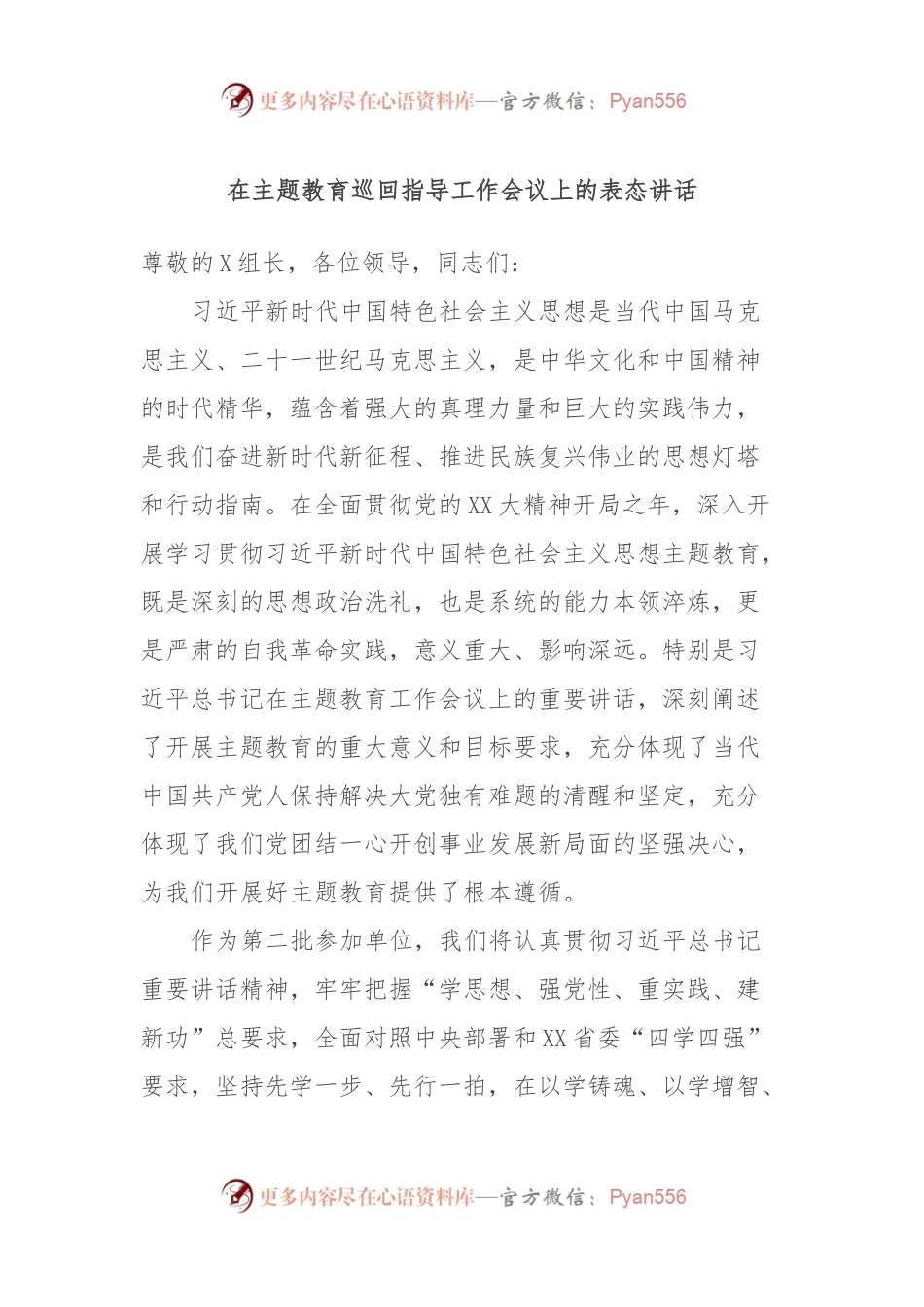 在主题教育巡回指导工作会议上的表态讲话.docx_第1页