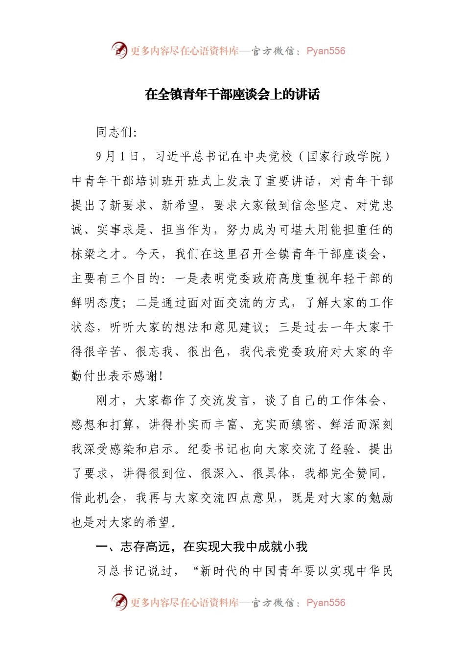 在全镇青年干部座谈会上的讲话(001).docx_第1页