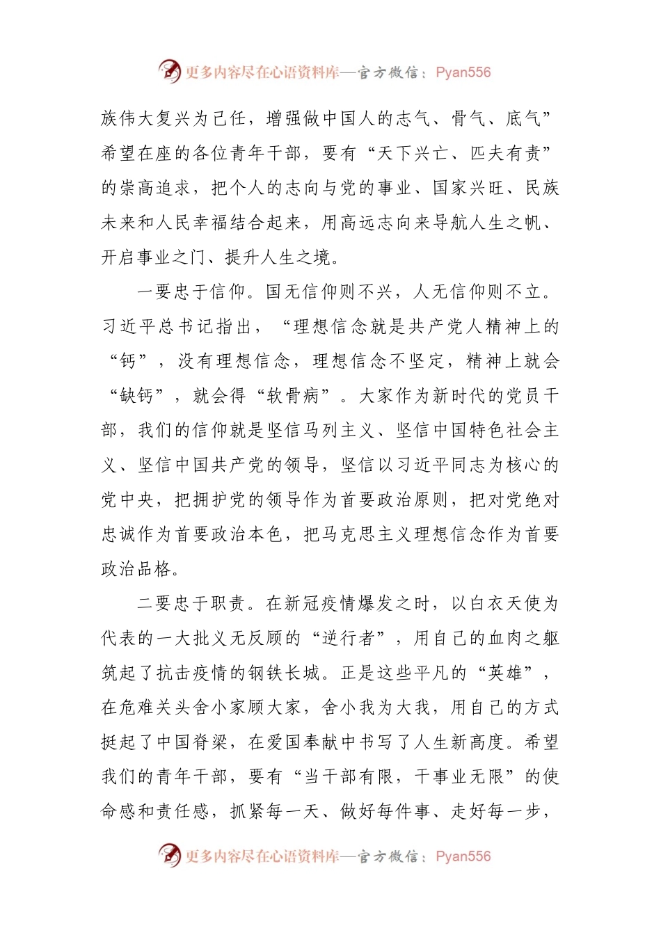 在全镇青年干部座谈会上的讲话(001).docx_第2页