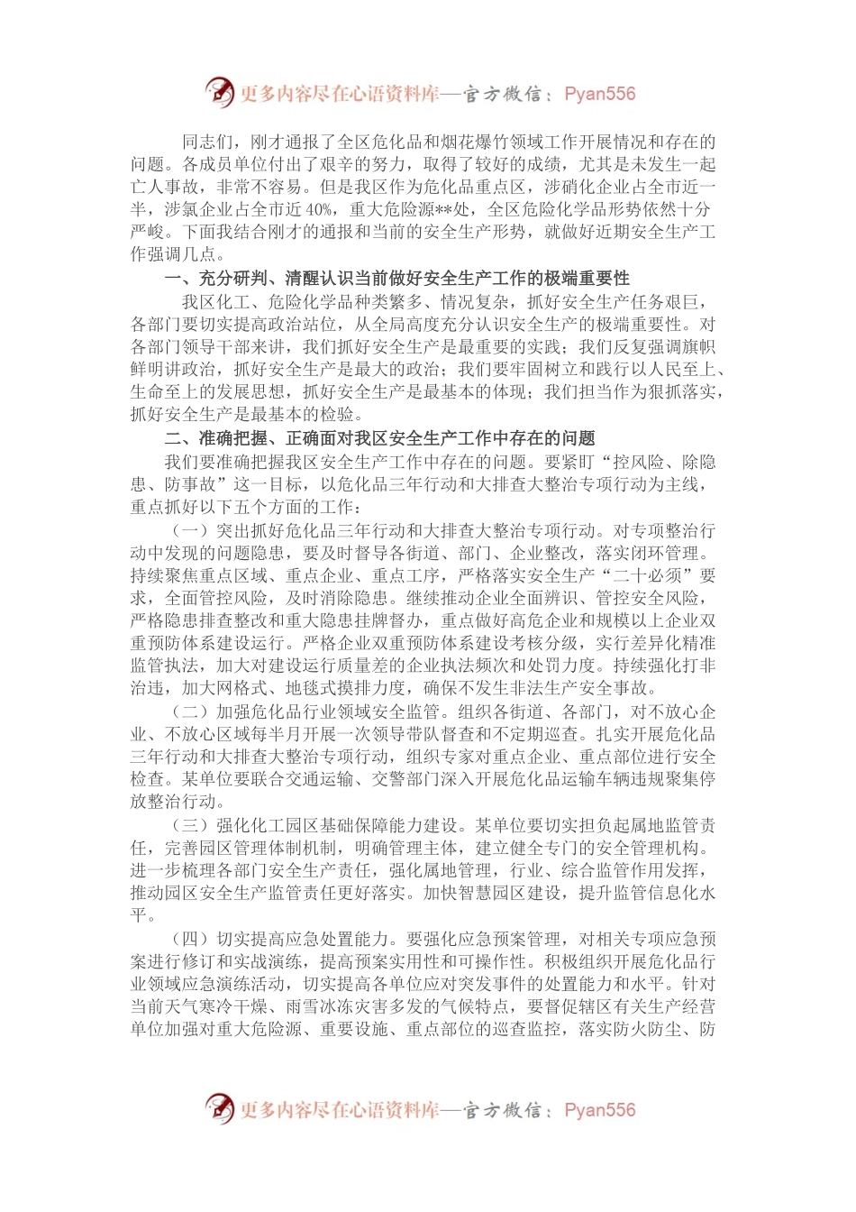 在危化品和烟花爆竹专业委员会会议上的讲话.docx_第1页