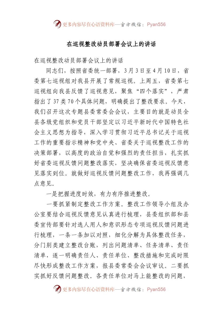 在巡视整改动员部署会议上的讲话.docx_第1页