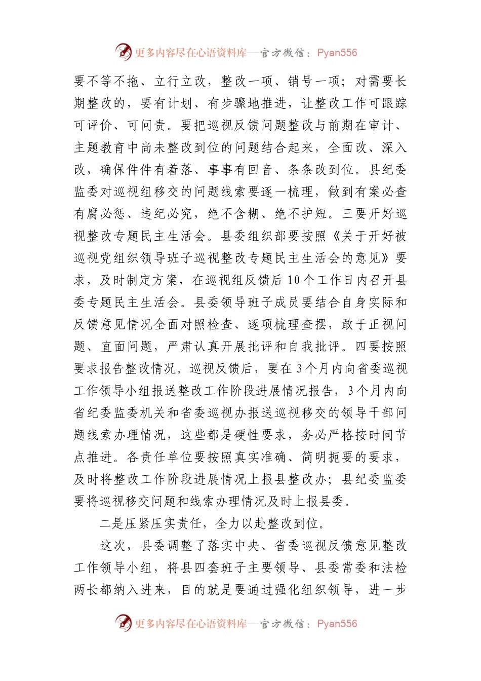 在巡视整改动员部署会议上的讲话.docx_第2页