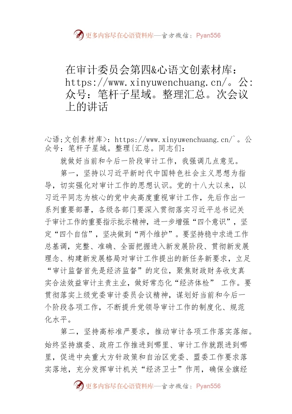 在审计委员会第四次会议上的讲话.docx_第1页