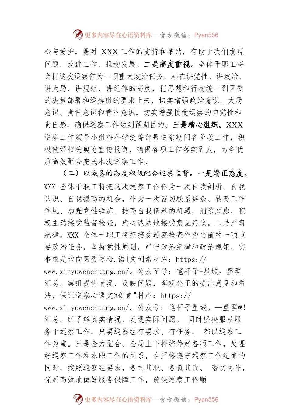 在巡察工作动员会上的表态发言0.docx_第2页