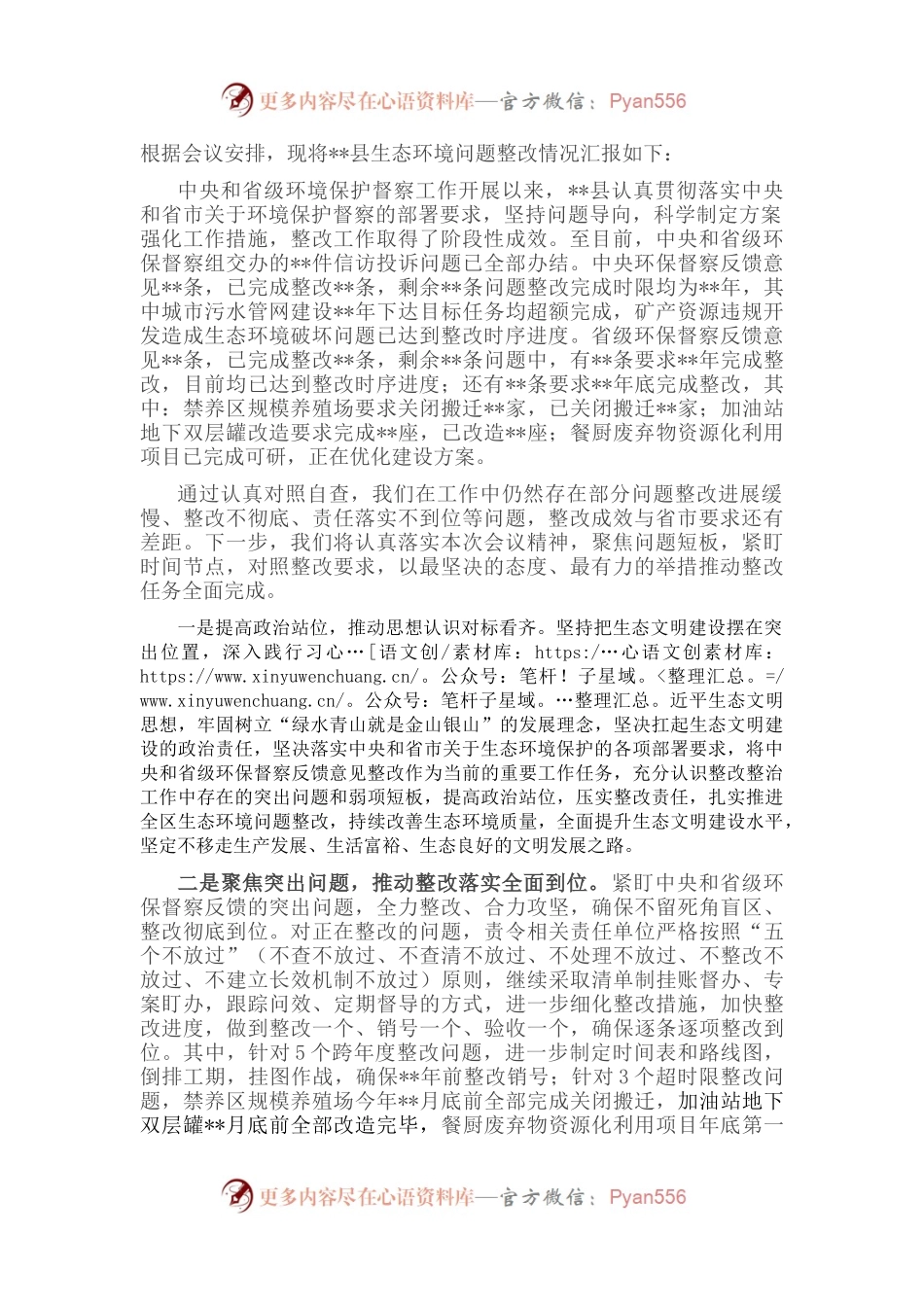 在全市生态环境问题整改集中攻坚推进会议上的发言.docx_第1页