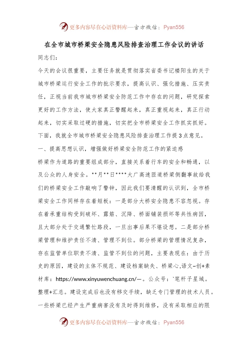在全市城市桥梁安全隐患风险排查治理工作会议的讲话.docx_第1页