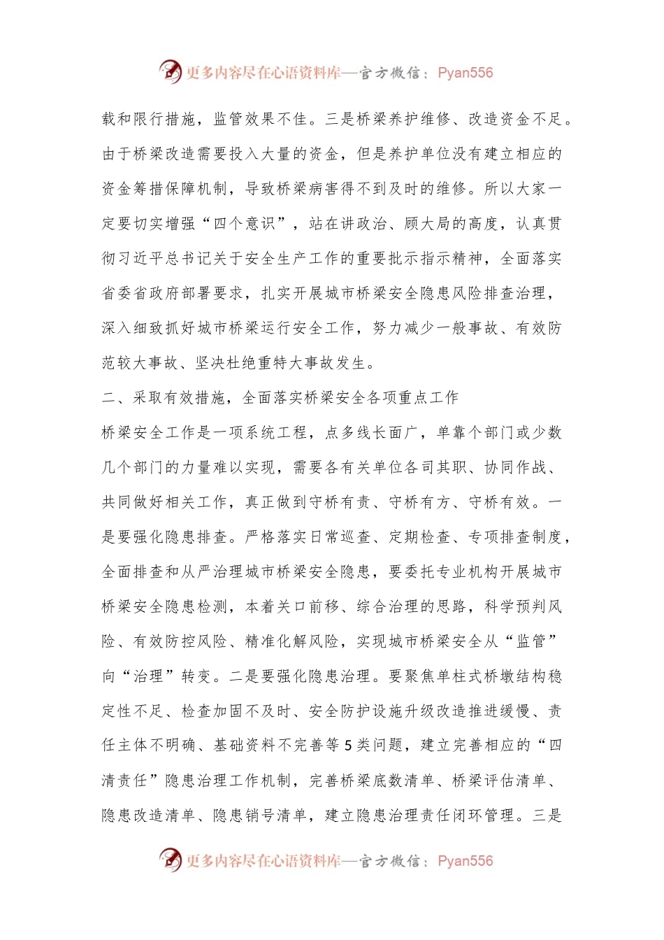 在全市城市桥梁安全隐患风险排查治理工作会议的讲话.docx_第2页