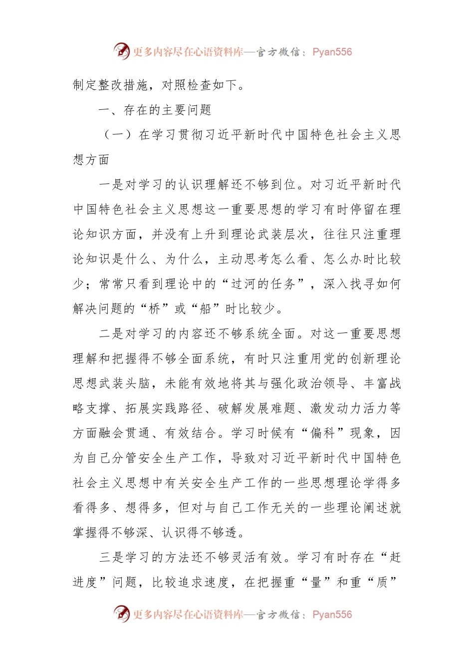 在主题教育专题民主生活会上的发言稿提纲（六个方面+剖析班子典型反面案例+政绩观）.docx_第2页