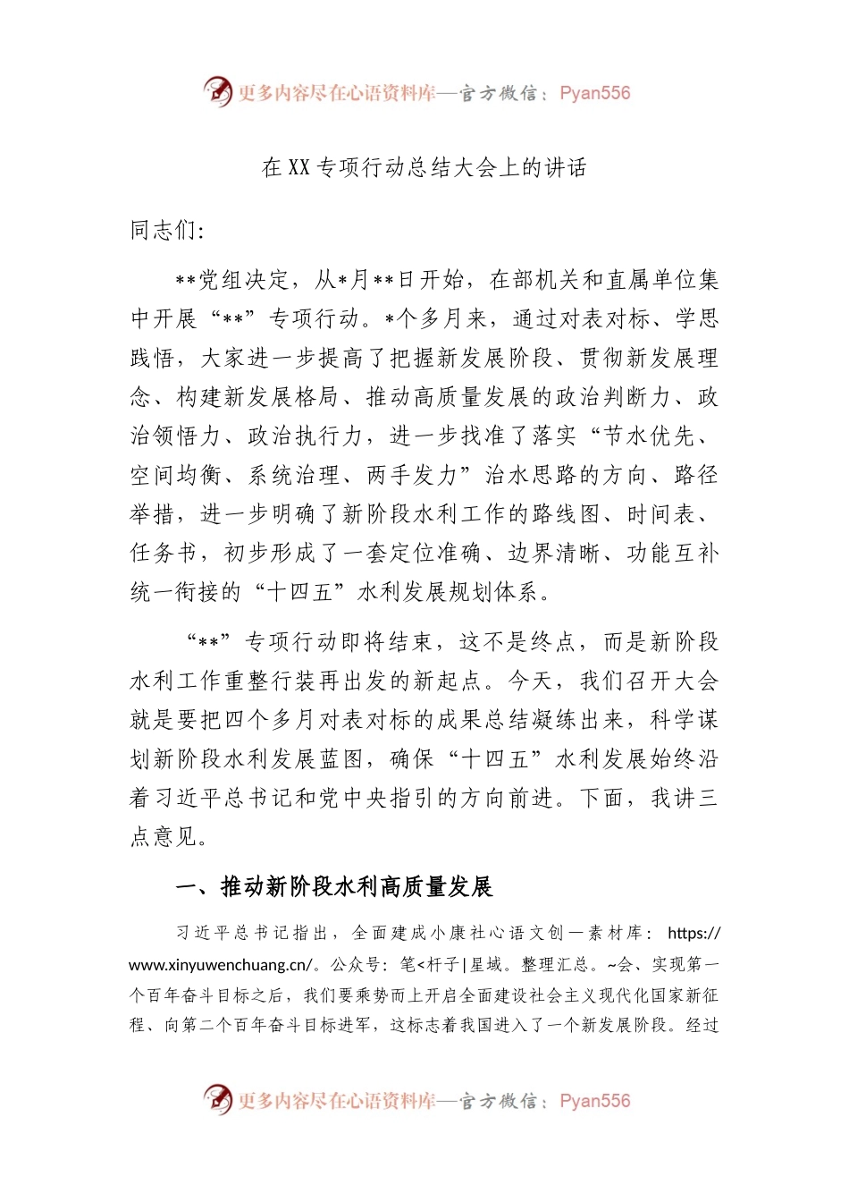 在XX专项行动总结大会上的讲话.docx_第1页