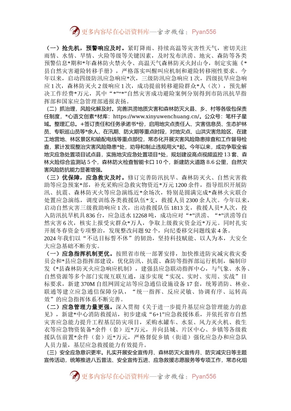 在全市年度应急管理工作会议上的经验交流发言.docx_第2页